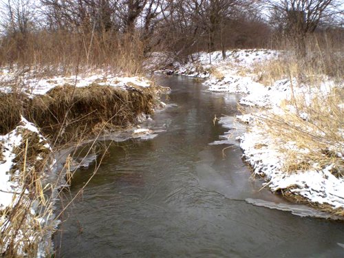 Property photo 2 - 42 Acres Offered in 3 Tracts